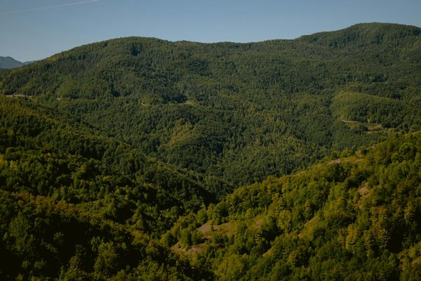 Quels facteurs influencent la popularité des événements mondiaux ?